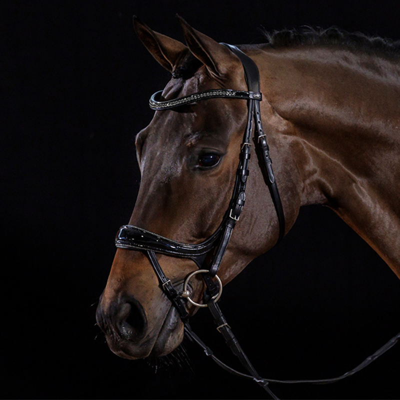 Schockemohle Equitus Beta Glam Bridle - Black/Patent/Silver-1